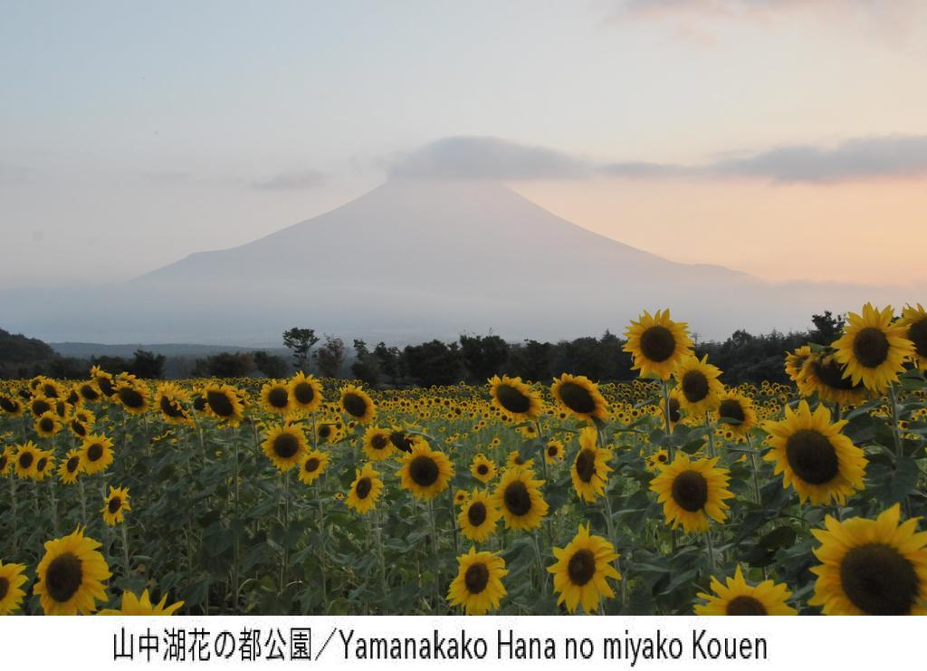 Pension Country Diary 山中湖村 エクステリア 写真